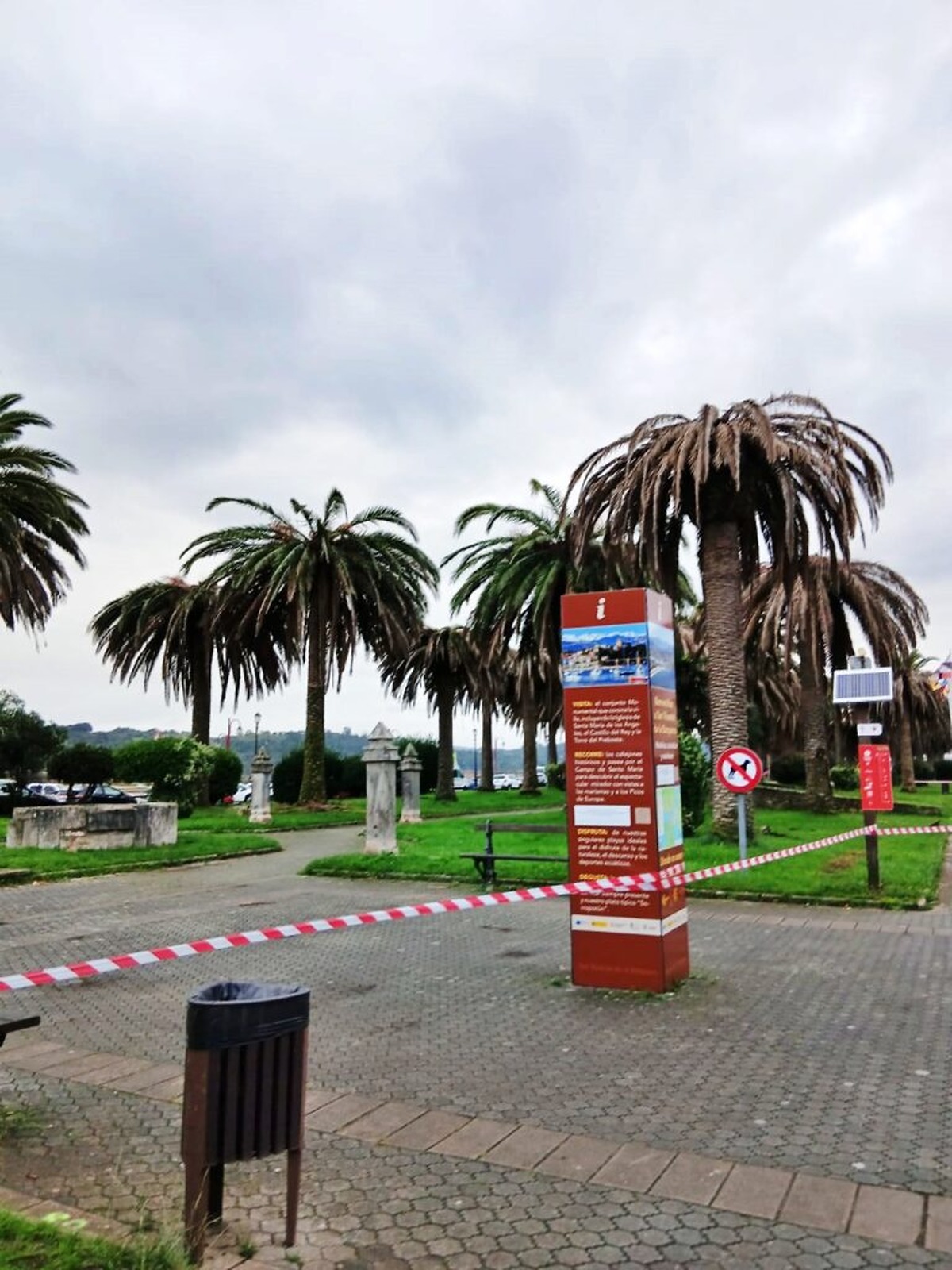 Cerrado el acceso al palmeral de San Vicente de la Barquera por riesgo de caída de ramas