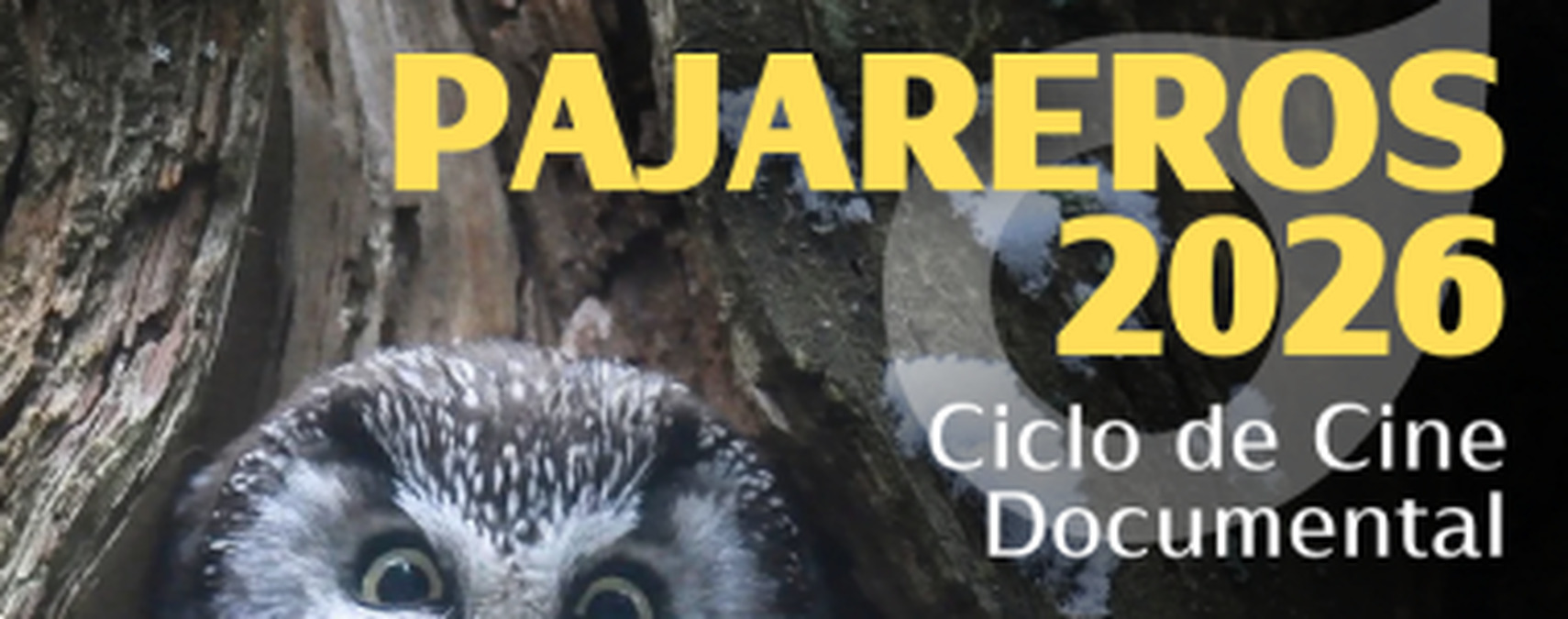 El ciclo 'Pajareros' regresa al centro cívico Juan de Santander con proyecciones sobre fauna salvaje